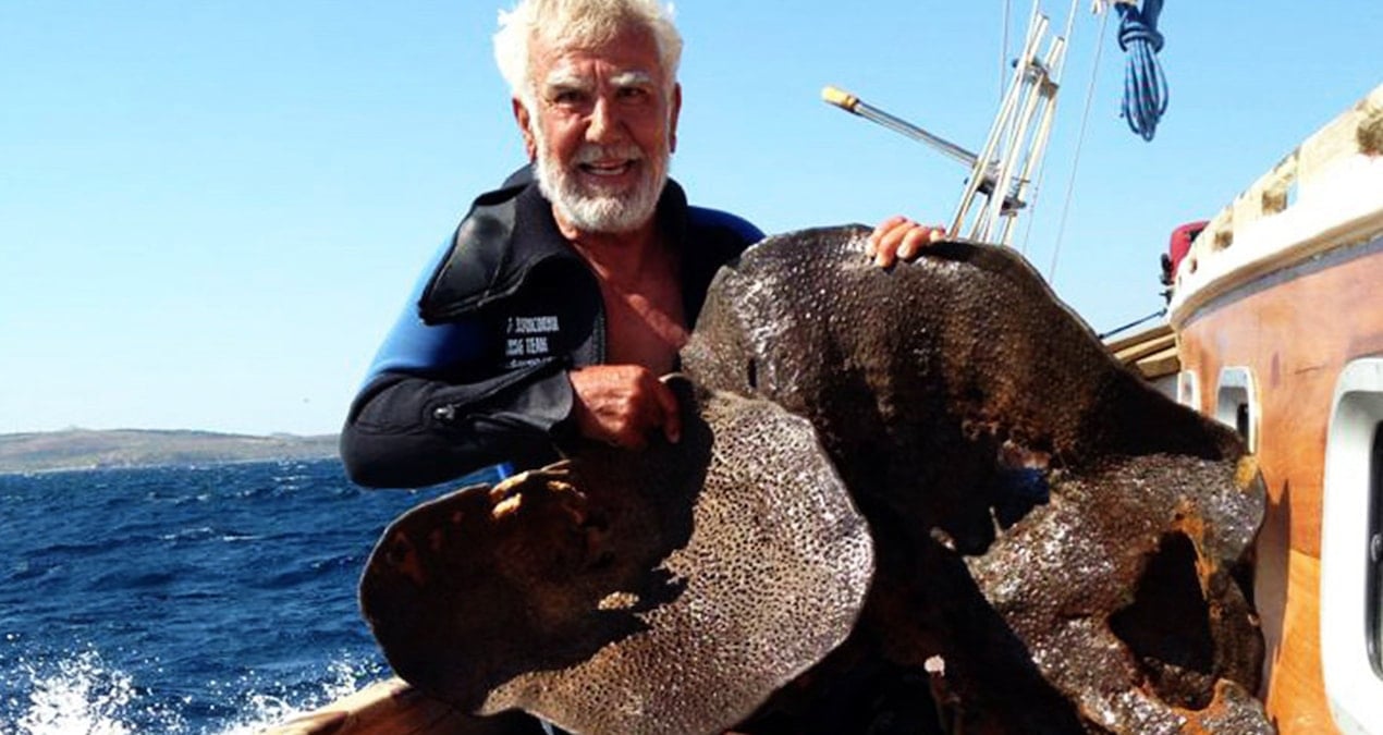 bodrumun efsane sungercisi son dalisini egede yapacak BrUghYtW