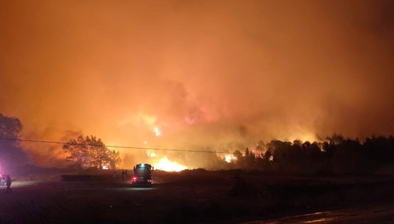 bursada orman yanginikismen kontrol altina alindi sXyhsy89