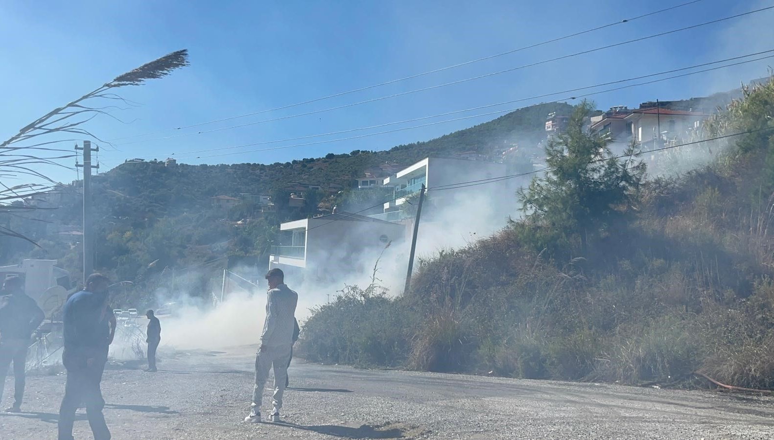 alanyada ormanlik alanda yangin QE3xq5uf.jpg