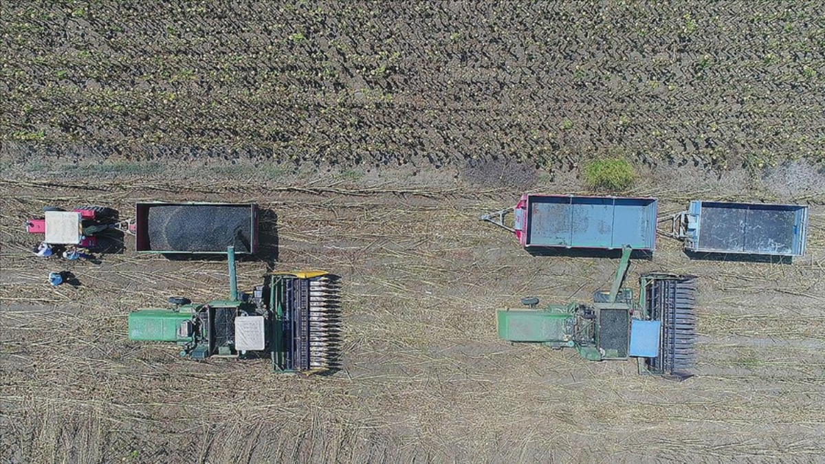 ciftcilere yaklasik 28 milyar lira destekleme odemesi yapildi VnFMMWK9.jpg