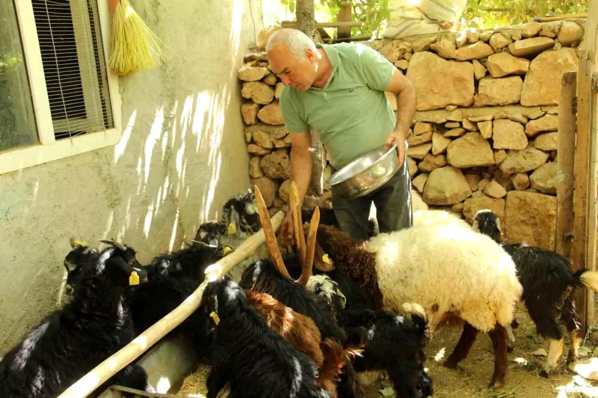 eski hukumlu tahir keskin is kur destegiyle 200 keci surusune ulasti AglQT7CV.jpg