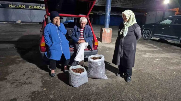 kuraklik kestane rekoltesini vurdu fiyatlar yukseliyor xBSMruuO.jpg