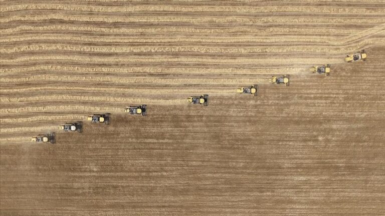 tarimsal girdi fiyat endeksi agustosta artti ndwvzz1c.jpg