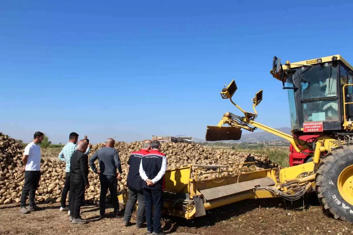 tokat pazarda seker pancari hasadi beklentisi yuksek YDbamGUh