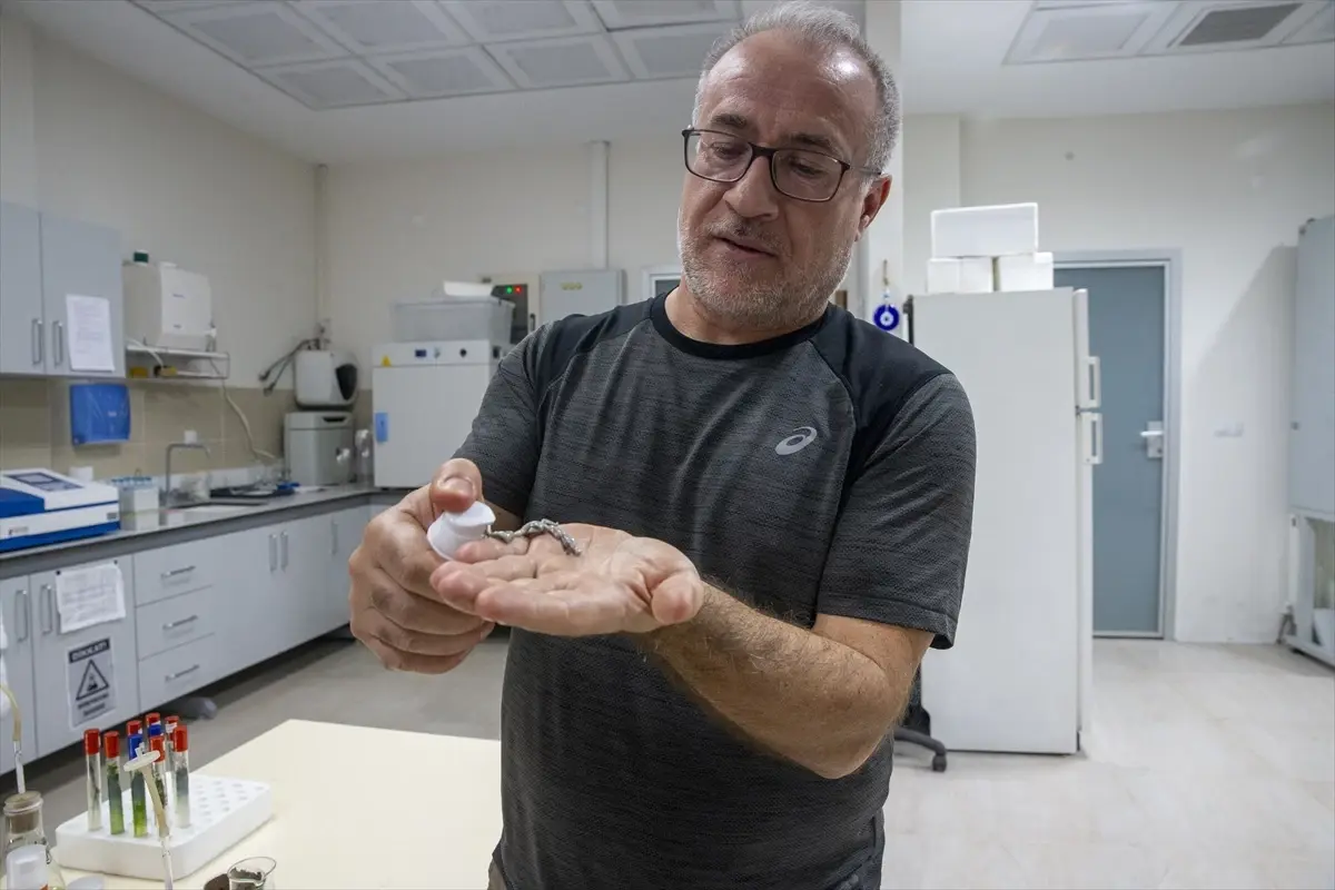 turk akademisyenler murekkep baligindan cilt onarici ve koruyucu gunes kremi uretti exVNjfOg.jpg